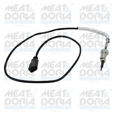 Sensor, exhaust gas temperature